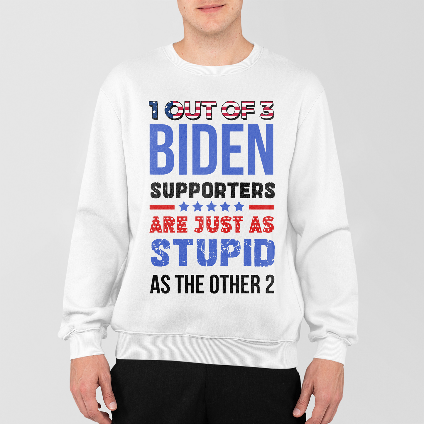 1 Out Of 3 Biden Supporters Are As Stupid As The Other 2 Shirt, US Election 2024 Shirt