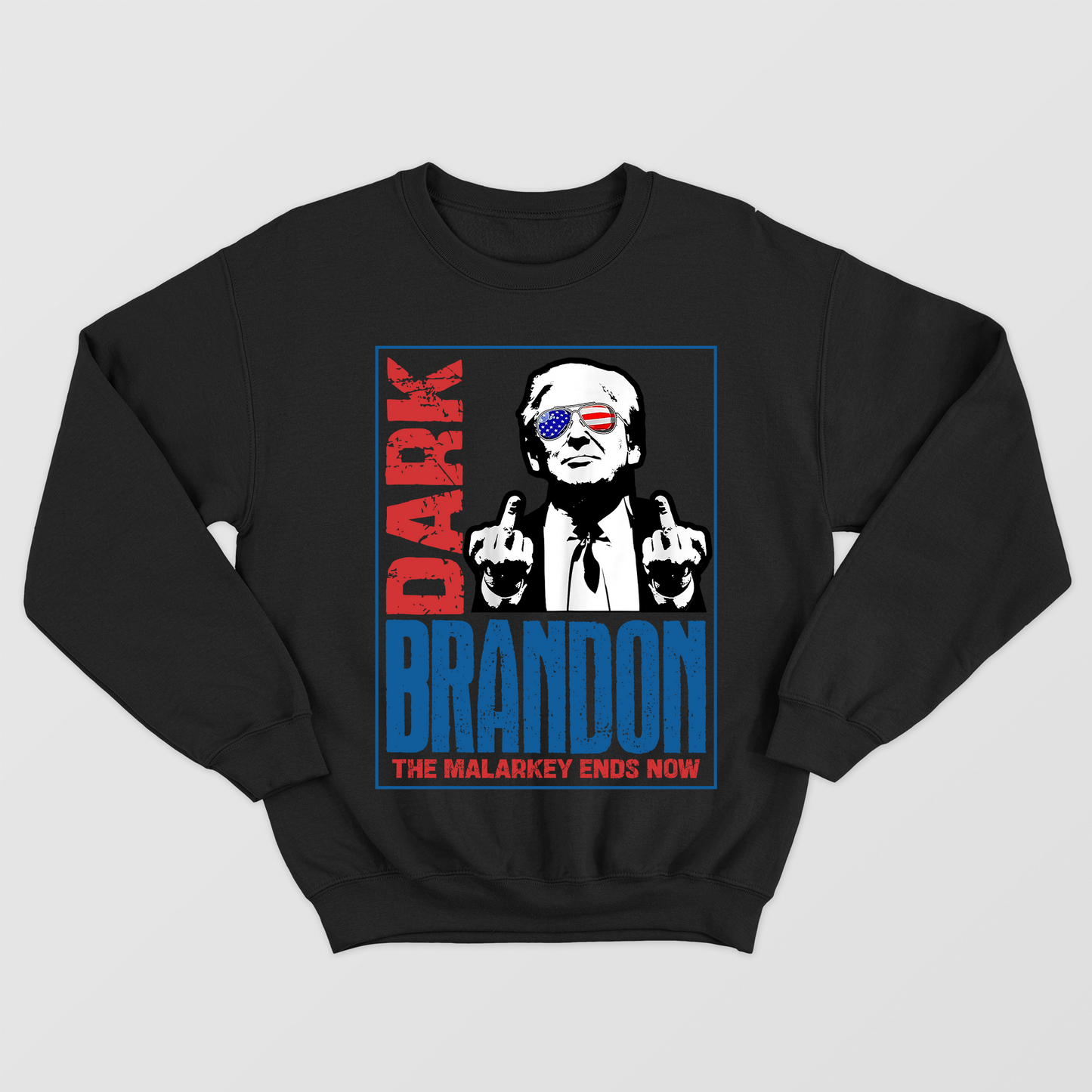 Dark Brandon Shirt 2024, US President Meme Shirt, Sarcastic Voting Shirt, US Election Shirt, Marlarkey Ends Now