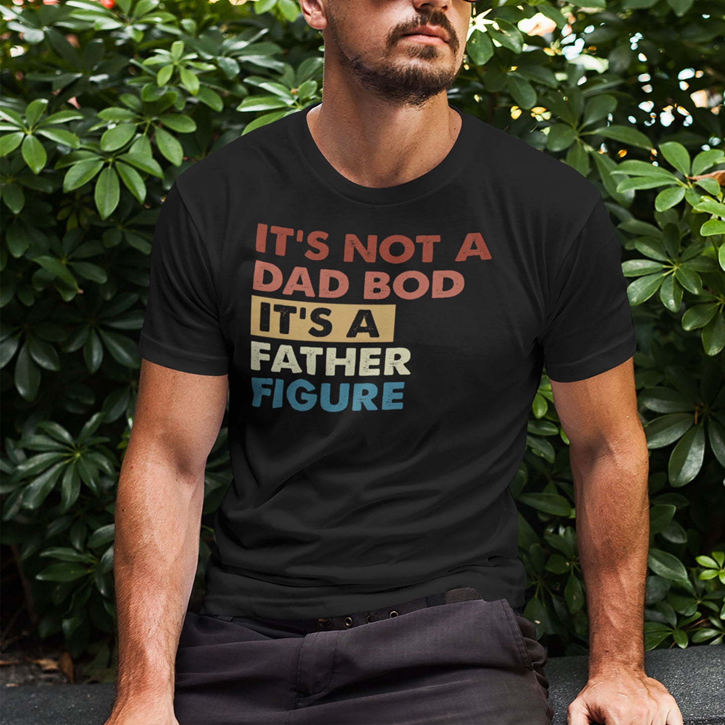 It's Not A Dad Bod It's A Father Figure T shirt, Dad Gift, Funny Dad Shirt, Father's Day Tshirt, Father Figure Shirt